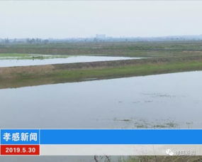 我市穩(wěn)步推進(jìn)水污染防治工作 綜合治理見(jiàn)實(shí)效